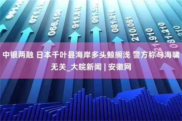 中银两融 日本千叶县海岸多头鲸搁浅 警方称与海啸无关_大皖新闻 | 安徽网