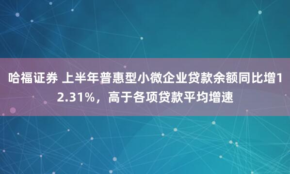 哈福证券 上半年普惠型小微企业贷款余额同比增12.31%，高于各项贷款平均增速