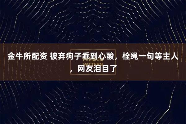 金牛所配资 被弃狗子乖到心酸，栓绳一句等主人，网友泪目了