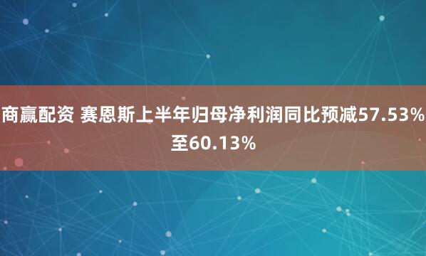 商赢配资 赛恩斯上半年归母净利润同比预减57.53%至60.13%